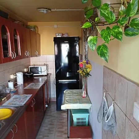 U Ani Apartment Kowal Exterior photo